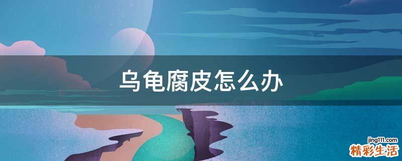 乌龟腐皮怎么办