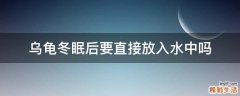 乌龟冬眠后要直接放入水中吗