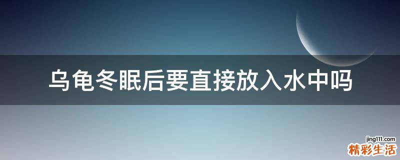乌龟冬眠后要直接放入水中吗