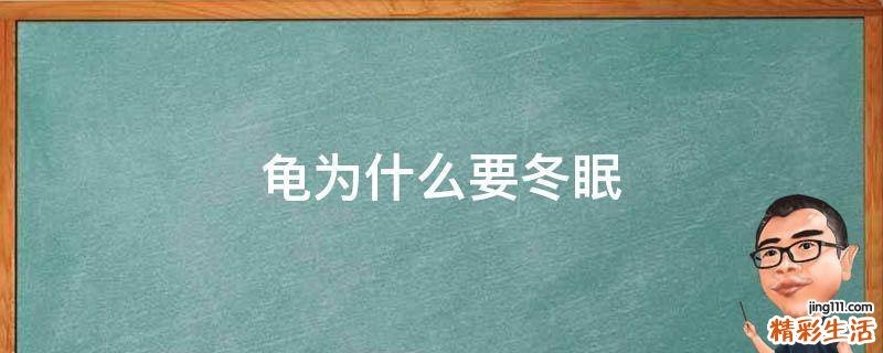 龟为什么要冬眠