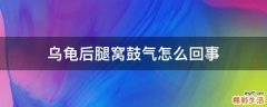 乌龟后腿窝鼓气怎么回事