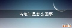 乌龟叫是怎么回事