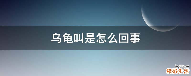 乌龟叫是怎么回事