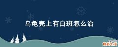 乌龟壳上有白斑怎么治