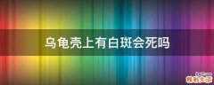乌龟壳上有白斑会死吗