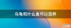乌龟和什么鱼可以混养