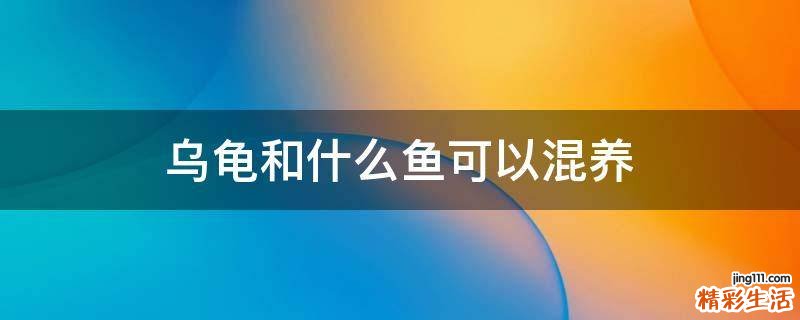 乌龟和什么鱼可以混养
