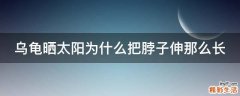 乌龟晒太阳为什么把脖子伸那么长