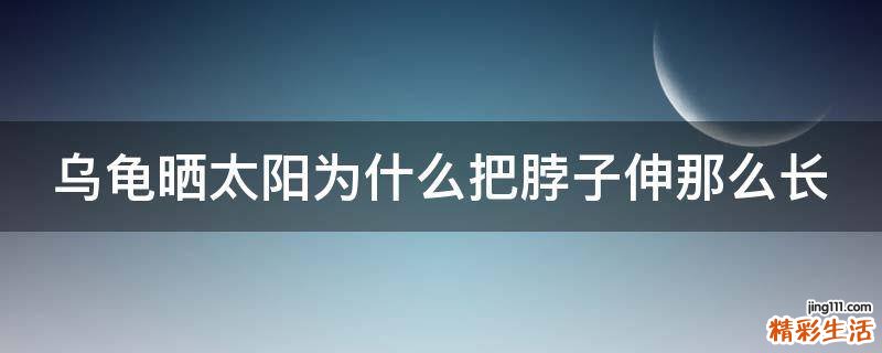 乌龟晒太阳为什么把脖子伸那么长