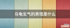 乌龟生气的表现是什么