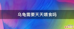 乌龟需要天天喂食吗