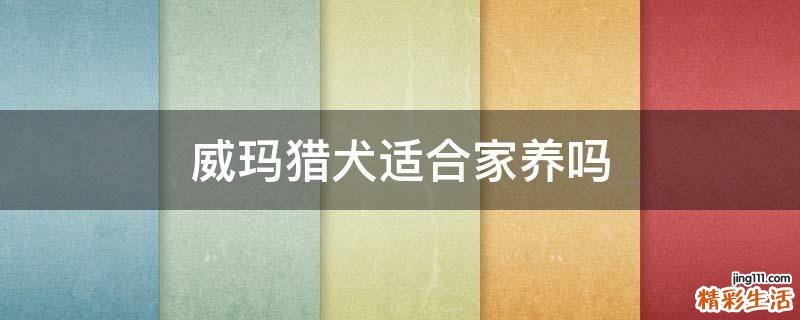 威玛猎犬适合家养吗