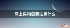 网上买狗需要注意什么