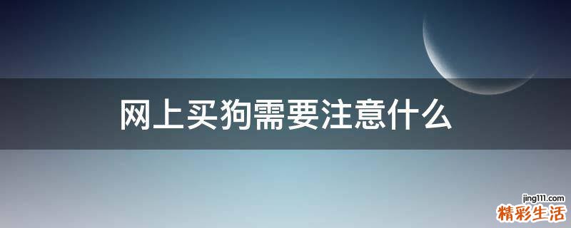 网上买狗需要注意什么
