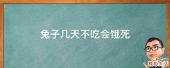 兔子几天不吃会饿死