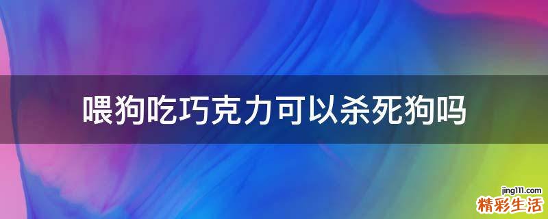 喂狗吃巧克力可以杀死狗吗