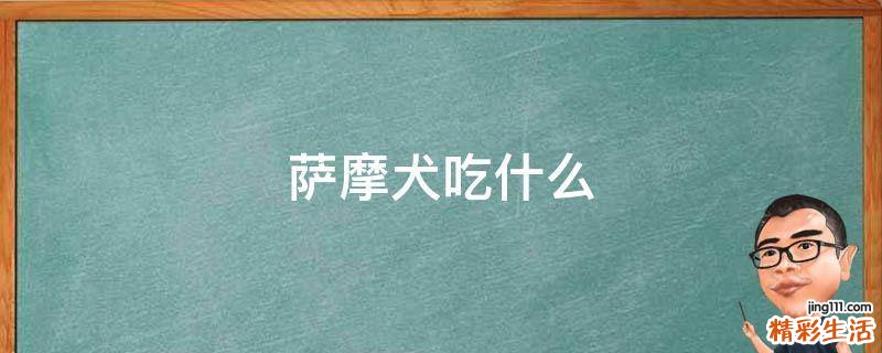 萨摩犬吃什么