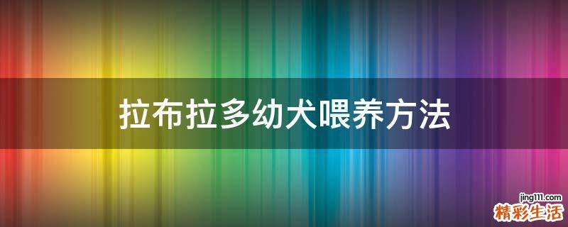 拉布拉多幼犬喂养方法
