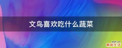 文鸟喜欢吃什么蔬菜
