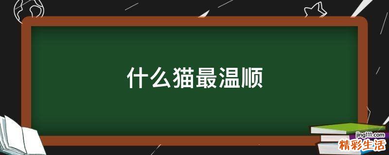 什么猫最温顺