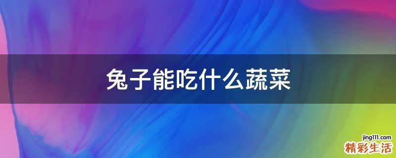 兔子能吃什么蔬菜