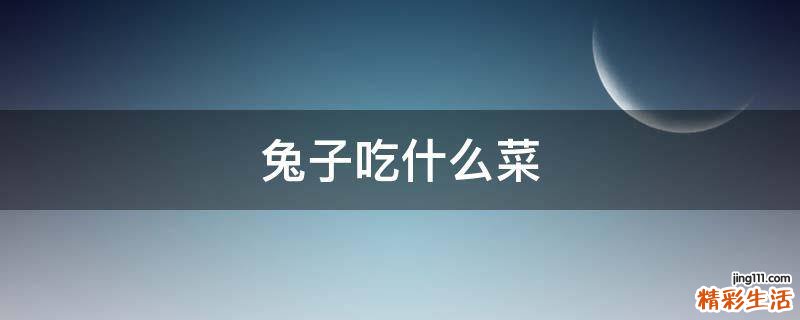 兔子吃什么菜
