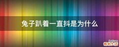 兔子趴着一直抖是为什么