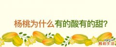 杨桃为什么有的酸有的甜 杨桃可以直接啃着吃吗