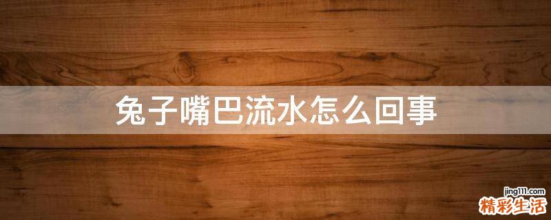 兔子嘴巴流水怎么回事