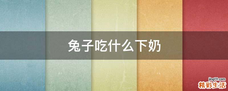 兔子吃什么下奶