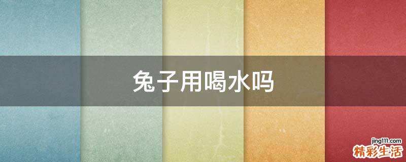 兔子用喝水吗
