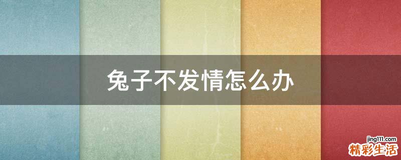 兔子不发情怎么办