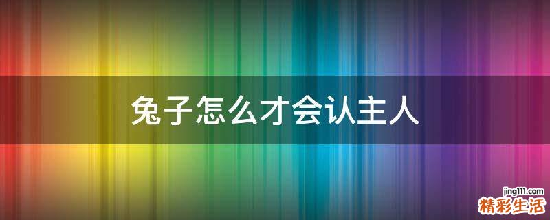 兔子怎么才会认主人