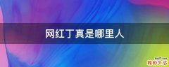 网红丁真是哪里人