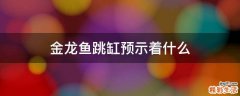 金龙鱼跳缸预示着什么