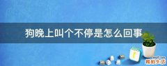 狗晚上叫个不停是怎么回事
