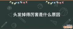 头发掉得厉害是什么原因