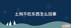 土狗不吃东西怎么回事