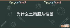 为什么土狗服从性差