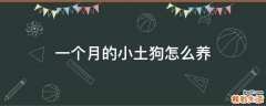 一个月的小土狗怎么养