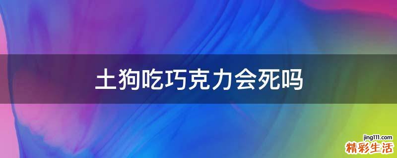 土狗吃巧克力会死吗