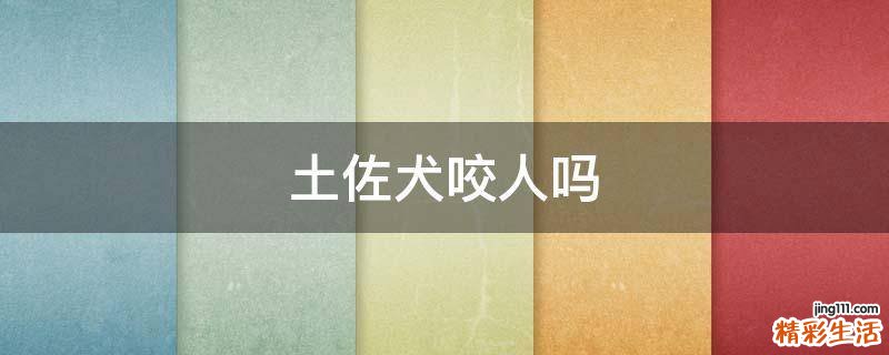土佐犬咬人吗