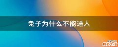 兔子为什么不能送人
