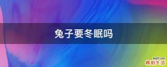 兔子要冬眠吗