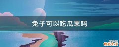 兔子可以吃瓜果吗
