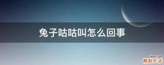 兔子咕咕叫怎么回事