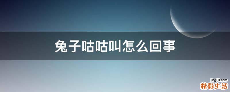 兔子咕咕叫怎么回事