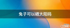 兔子可以晒太阳吗