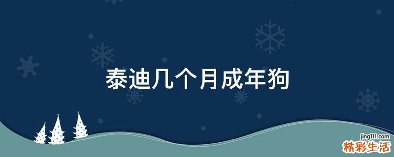 泰迪几个月成年狗