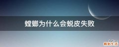 螳螂为什么会蜕皮失败